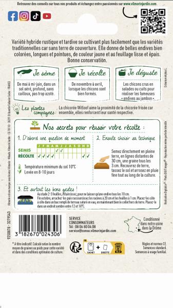 Potagères - Chicorée Witloof (endive) Flexine HF1 - MEDIA_PACKAGING_VERSO